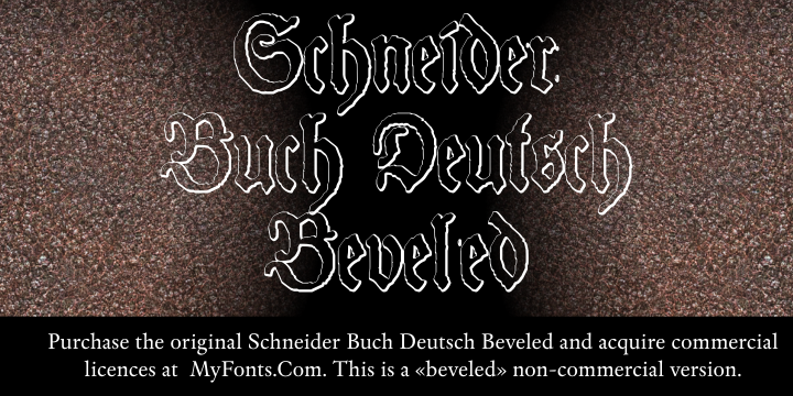 Schneider Buch Deutsch Beveled